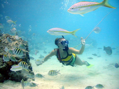 Scuba Diving in Phuket